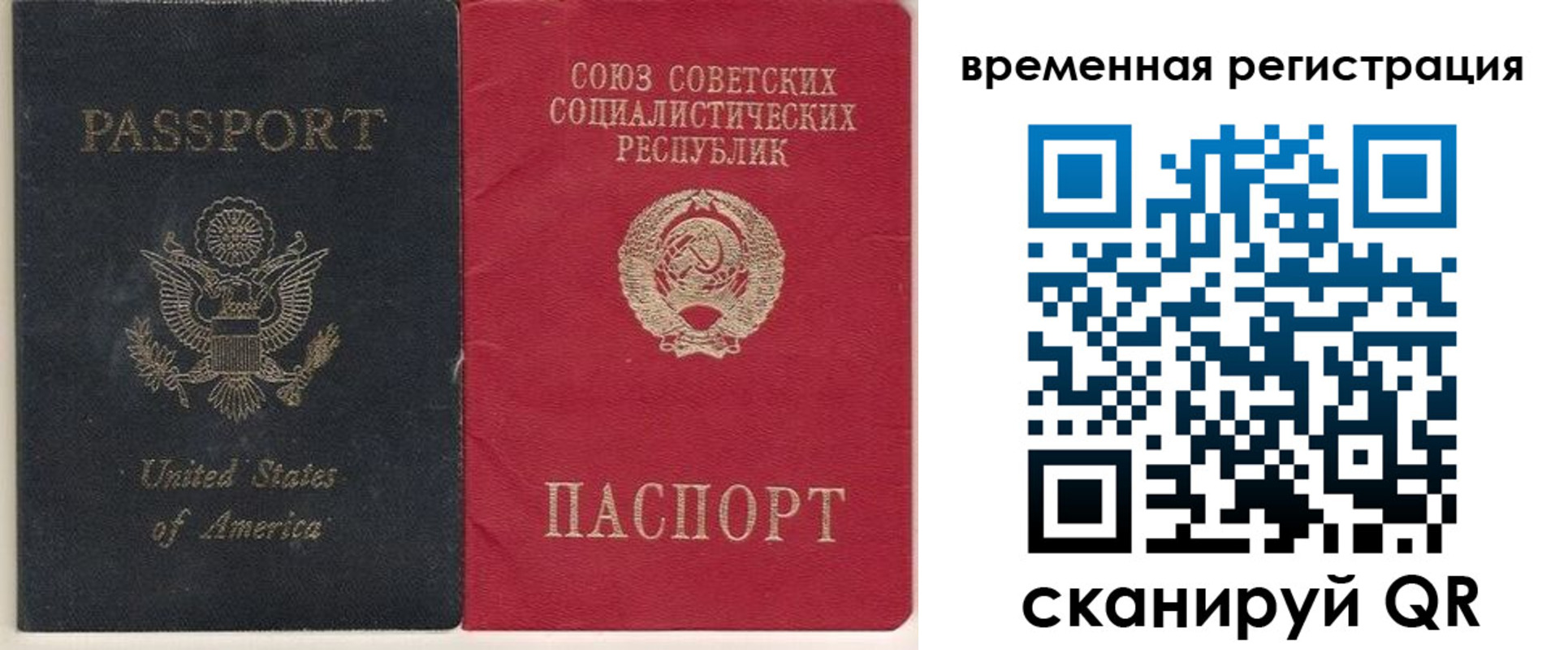 прописка законно в Павловске
