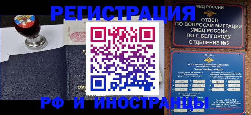 временная регистрация поиск в Павловске